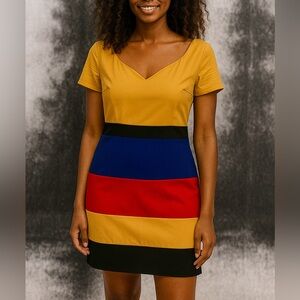 Blue Leopard Red/Yellow/Blue Kiara Color Block Dress NWT